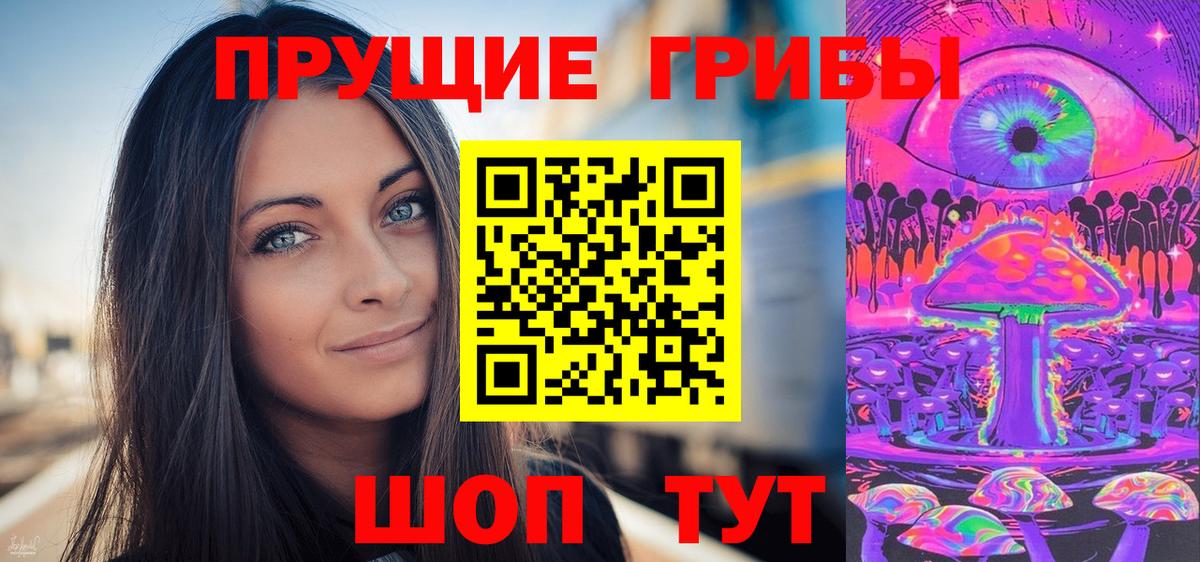 Псилоцибиновые грибы GOLDEN TEACHER  Галлюциногенные грибы Psilocybine cubensis  Абакан  Вход с VPN 
